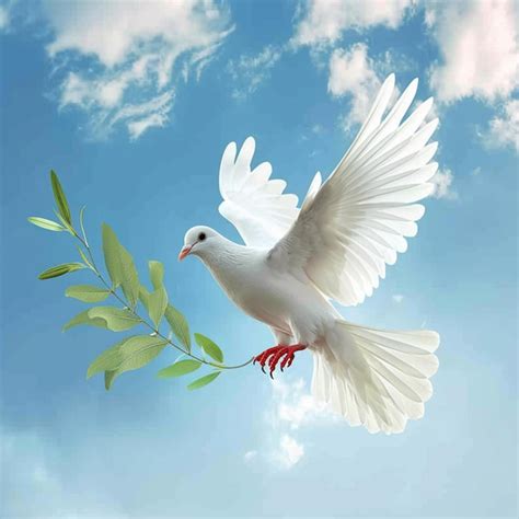 Dove of Peace (Studio Version) .